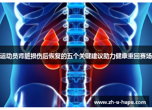运动员肾脏损伤后恢复的五个关键建议助力健康重回赛场 运动员肾脏损伤后恢复的五个关键建议助力健康重回赛场